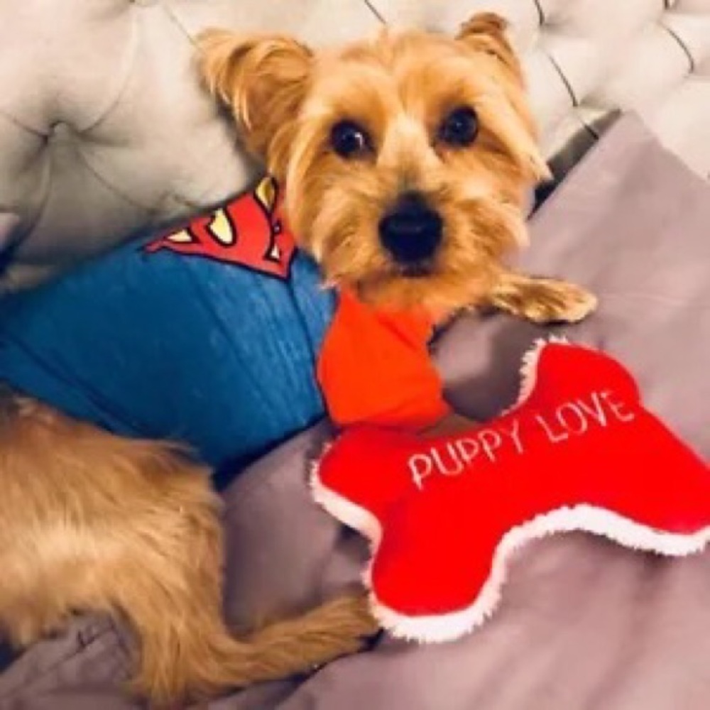 UnListed Inventory $10